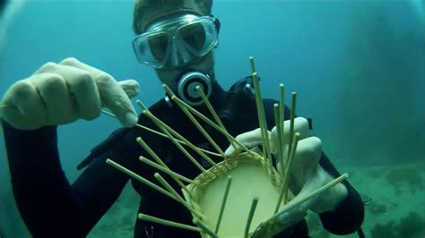 Veli Demir's Unexpected Foray into Underwater Basket Weaving: A Triumph of Passion or Plunge into Absurdity?